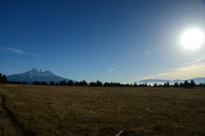 DSC_2983 (Large).JPG